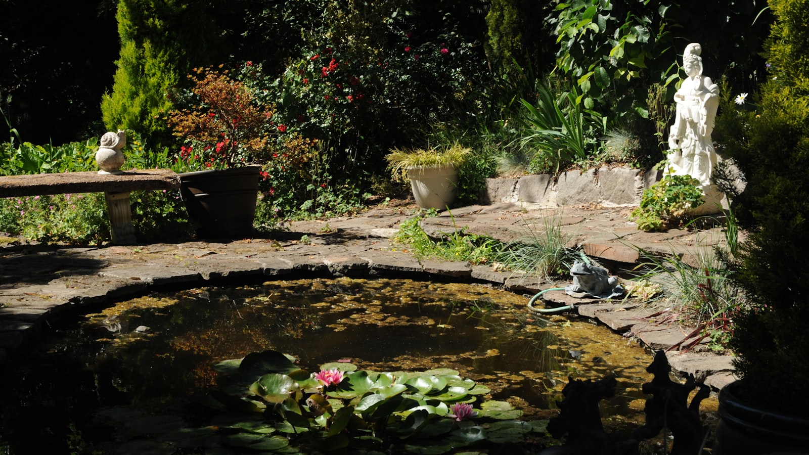 Vijver met waterlelies en tuinbeeld